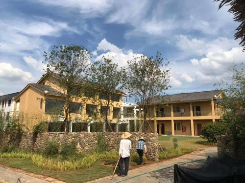 南雄寄心小院,含雙人農家田園早餐 一家隱藏在稻田的民宿 寄心小院