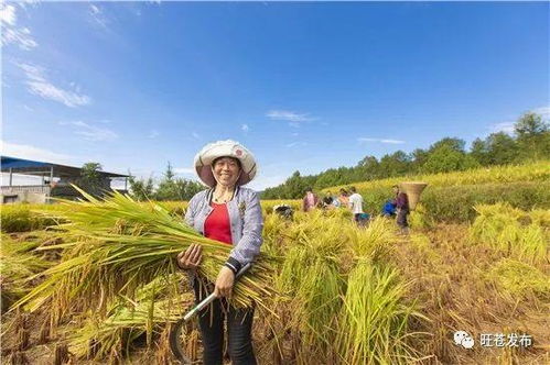 改革開放40周年系列專題報道 綠色發展農家美