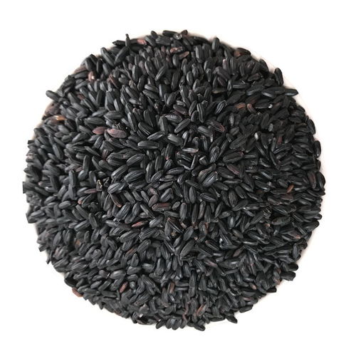 紅米紅食用米農家自產粳米紅血稻糙米五谷雜糧組合
