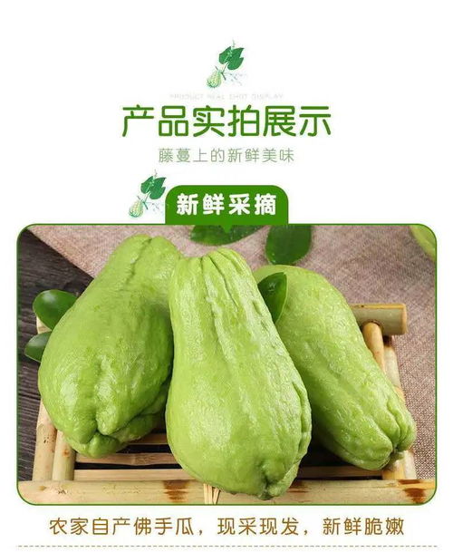 貴州新鮮佛手瓜高原農家自種蔬菜洋瓜捧瓜豐收窩瓜壽瓜3斤5斤包郵