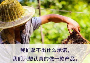 正品野生深山土蜂蜜蜂巢蜜天然農(nóng)家峰糖蜜蜂王漿百花洋槐花新鮮