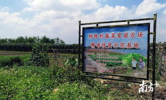美麗鄉(xiāng)村行 系列報道② 橋陳村脫貧路上的 紅 綠 鄉(xiāng)村旅游探索