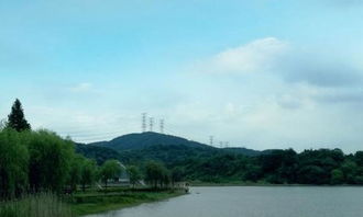 南京市溧水區(qū)政府網(wǎng)站