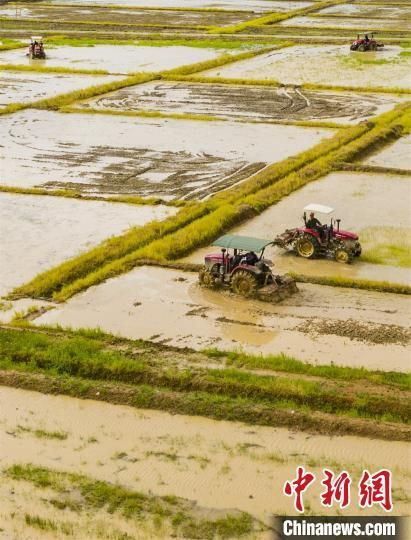 航拍新余谷雨農(nóng)忙 農(nóng)機(jī) 會(huì)戰(zhàn)