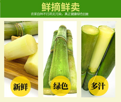 甘蔗新鮮水果孕婦現(xiàn)摘農(nóng)家應(yīng)季時(shí)令特產(chǎn)青.皮綠皮非黑皮廣西甘蔗