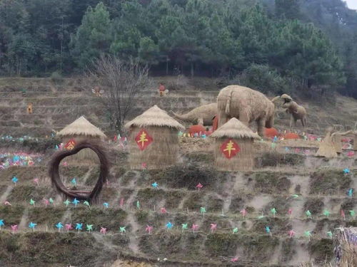 加入全國百個鄉村振興傳播計劃的閩侯縣,正探索一條以文旅帶動鄉村振興的精彩路子