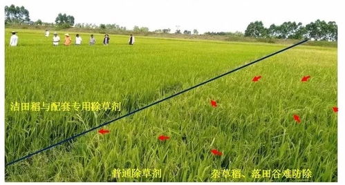一點資訊 yidianzixun.com