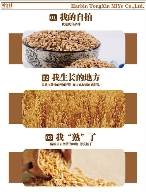 東北特產黑龍江西官村農家自產五谷雜糧有機燕麥米1110g包郵