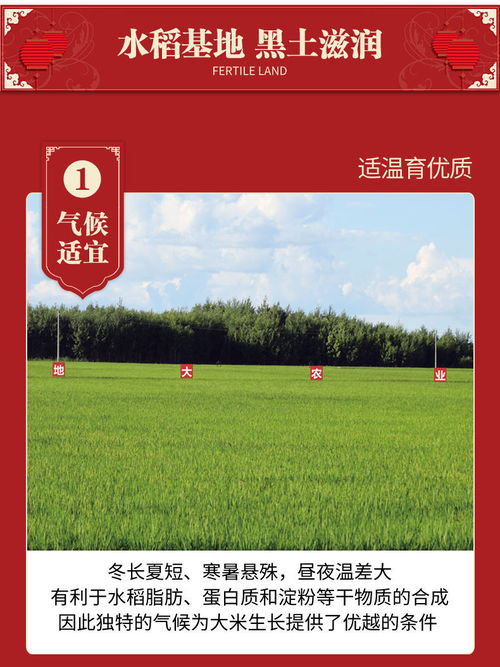 五常長粒香米10斤東北農家長粒大米五常大米稻花新米