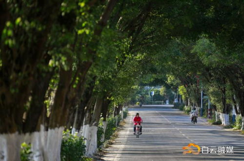 安排 超110公里農村公路今年開工,每個鎮至少打造一條示范路
