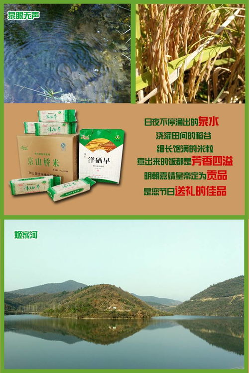 湖北荊門泉水米京山橋米洋西早洋硒早農家自種細長亮透明特產
