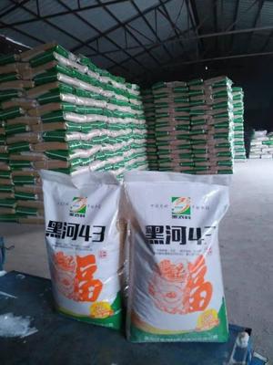 農民買種子,一個電話送到家