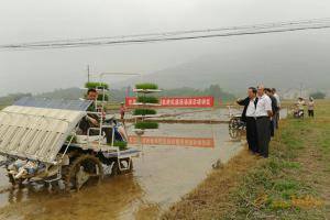 東風(fēng)井關(guān)產(chǎn)品亮相廣西多場(chǎng)水稻機(jī)械化插秧示范推廣現(xiàn)場(chǎng)會(huì)