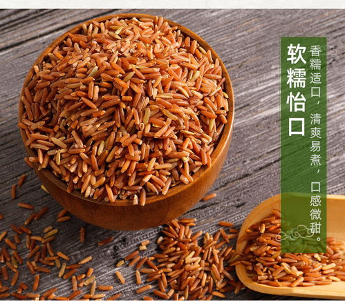 東北紅米5斤自產(chǎn)黑龍江農(nóng)家紅米紅糙米紅粳米紅血稻糙米五谷雜糧
