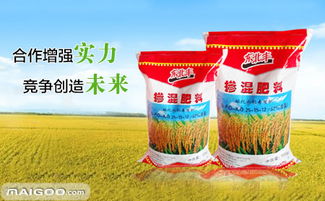東北豐品牌 品牌介紹