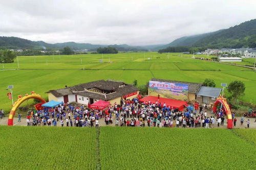當國慶邂逅中秋,你遇見清流