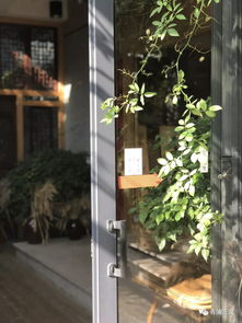 鄉村振興路上的人文景觀 散落在稻田邊的農家書屋