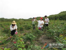 五一小長假鄉村游體驗農家生活成為新亮點