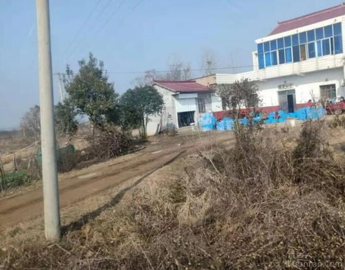 一群婦女在農家院里露天粗放操作,六安這家 洗碗廠 讓人驚掉下巴
