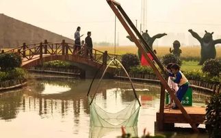 第三屆湖熟稻香節(jié)開(kāi)幕,體驗(yàn)農(nóng)家收獲喜悅