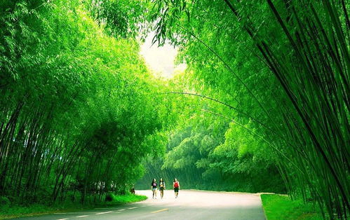 重渡溝全景vr民宿上線,一起漫游山泉飛瀑竹林人家