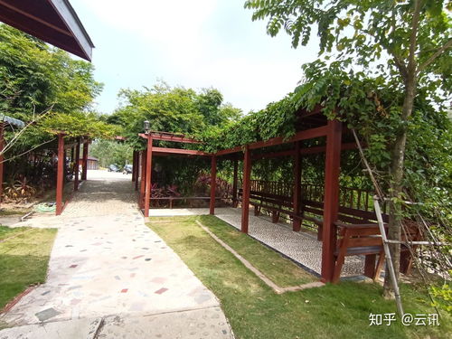 陂洋半月灣生態莊園秋色濃