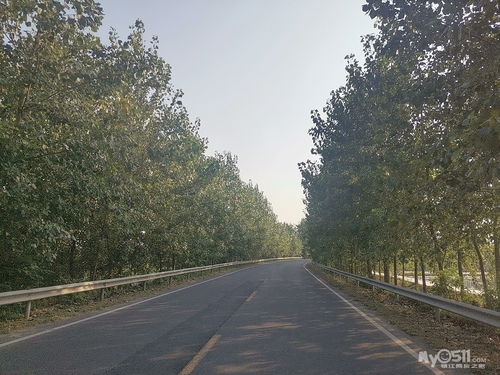 心動不如行動 走,看一眼夢中的那一汪青綠稻田 高郵湖,淥洋湖小溜達