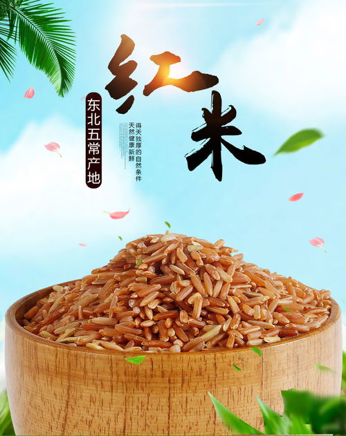 東北紅米5斤自產黑龍江農家紅米紅糙米紅粳米紅血稻糙米五谷雜糧