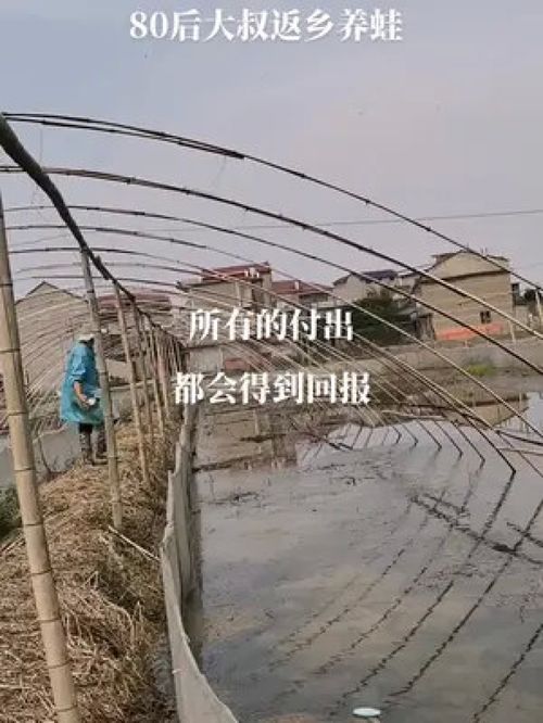 后面意外看到了蝌蚪,抱抱 青蛙 青蛙 稻蛙香家庭農場 養蛙人加油 江西早蛙聯盟 高密度養殖 水產養殖 水產養殖